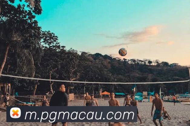 App Interface Preview